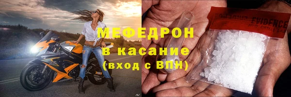 молекула духа Богданович