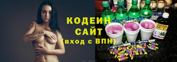 молекула духа Богданович