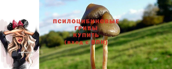 герыч Вяземский