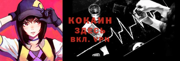 молекула духа Богданович