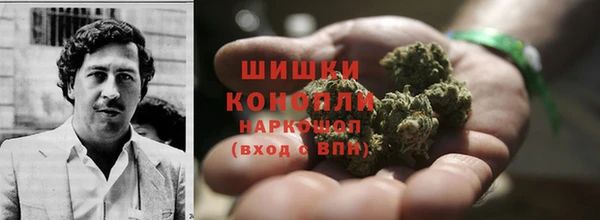 стафф Богородск