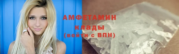 молекула духа Богданович