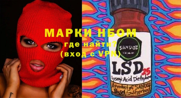 молекула духа Богданович