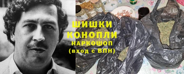 молекула духа Богданович