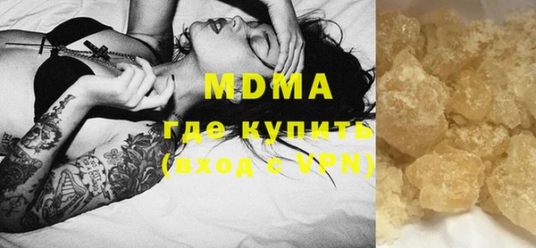 молекула духа Богданович