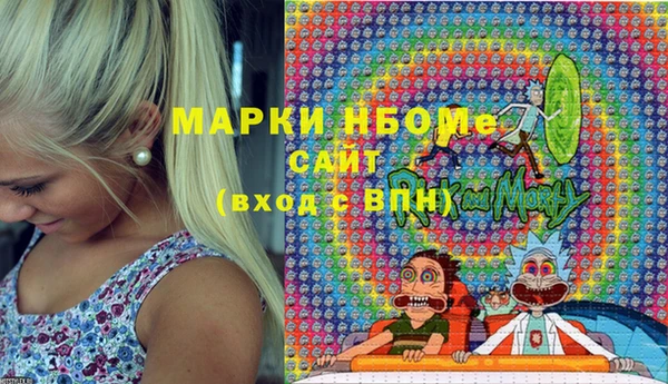 молекула духа Богданович
