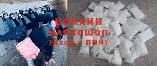 молекула духа Богданович