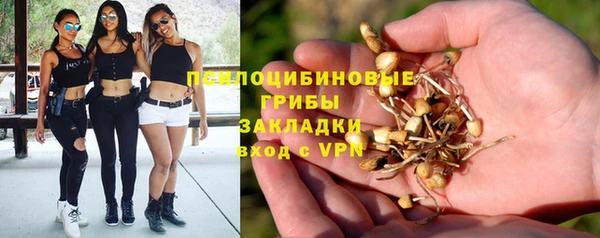 прущие крисы Вязники