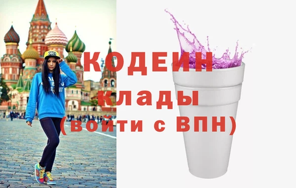 молекула духа Богданович