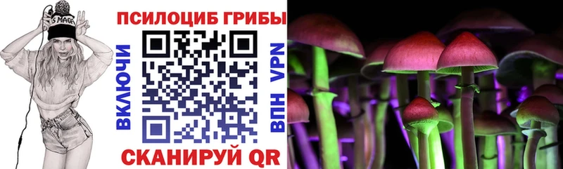 Галлюциногенные грибы прущие грибы  Тотьма 